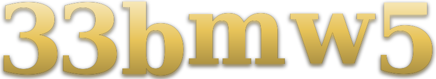 33bmw5 logo